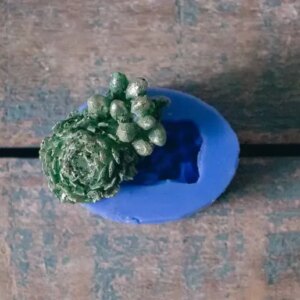 Succulent Duo - Succulent Silicone Moulds