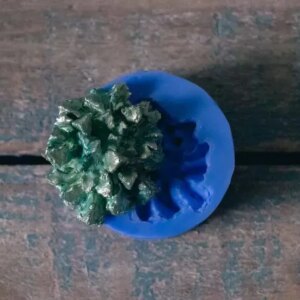 Tiger’s Jaw - Succulent Silicone Moulds