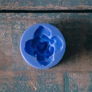 Moonshine - Succulent Silicone Moulds
