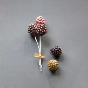 Blackberries Mould -Berries, Pods and Fillers