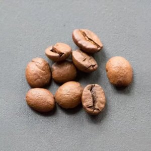 Coffee Beans Mould - Berries, Pods and Fillers