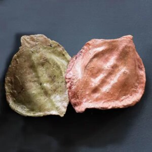 Jakaranda Pod Mould - Berries, Pods and Fillers