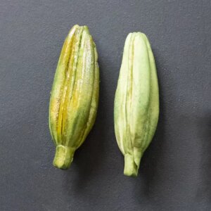 Lilly Bud L/S Mould - Berries, Pods and Fillers