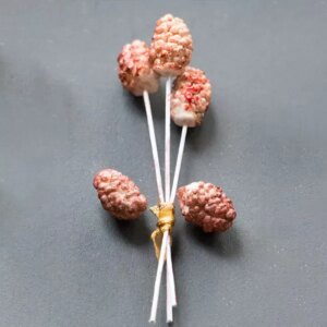 Mini Berries Mould - Berries, Pods and Fillers