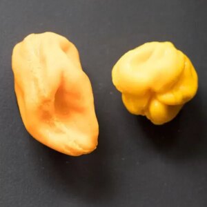 Peppers Mould - Berries, Pods and Fillers