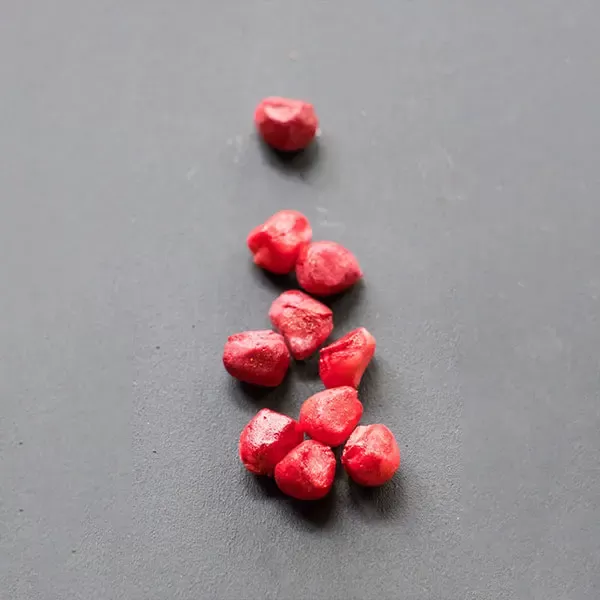 Pomegranate Seeds Mould - Berries, Pods and Fillers