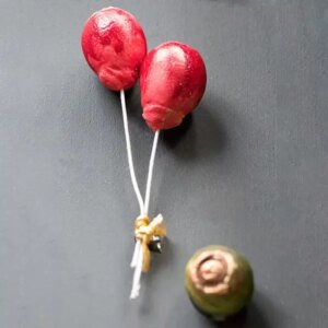 Rose Hip Mould - Berries, Pods and Fillers