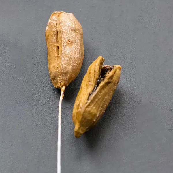 Split Pod Mould - Berries, Pods and Fillers
