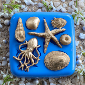 Shell Collection 2 - Silicone Mould