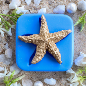 Stylish Starfish - Silicone Mould