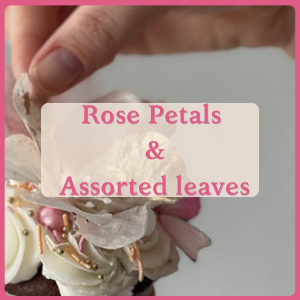Rose Petals & Assorted Leaves