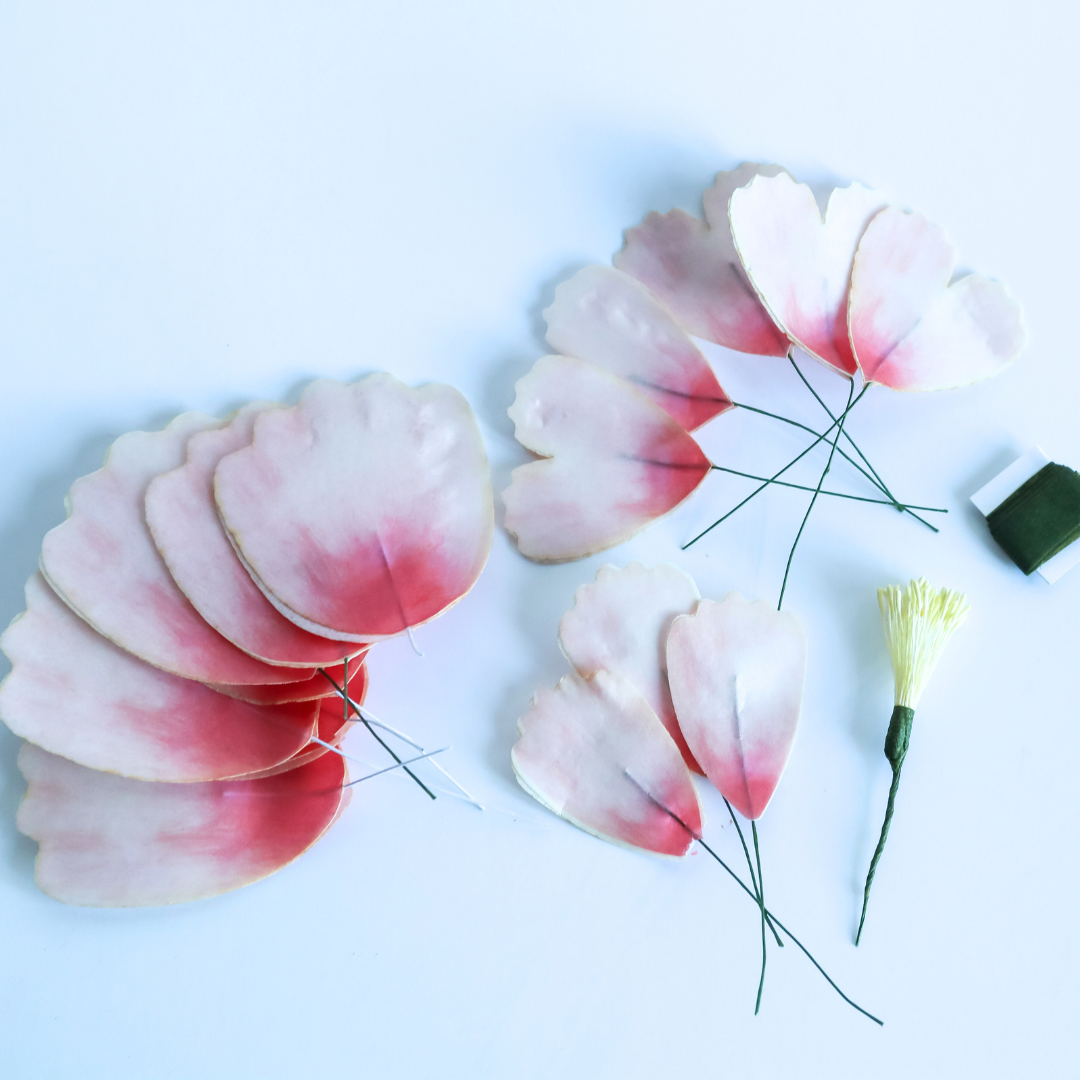 Make-a-Peony - Wafer Paper Flower Kit - Image 2