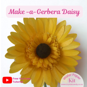 Make a gerbera daisy kit- wafer paper