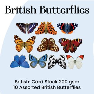 British- Craft Butterflies