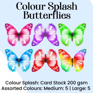 Colour Splash - Craft Butterflies
