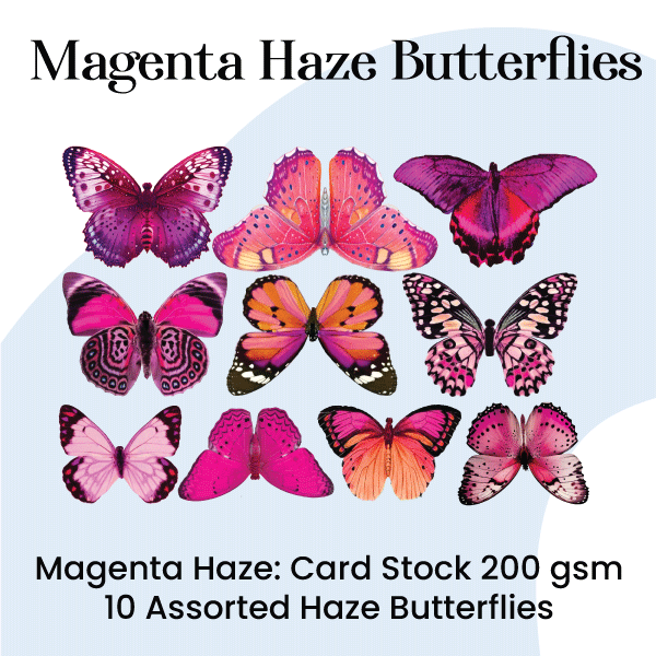 Magenta- Craft Butterfly