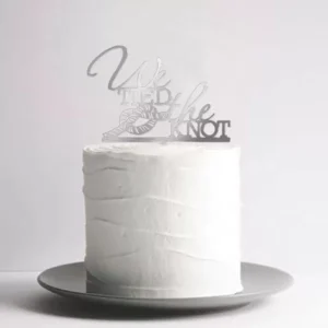 We Tied The Knot - Cake Topper
