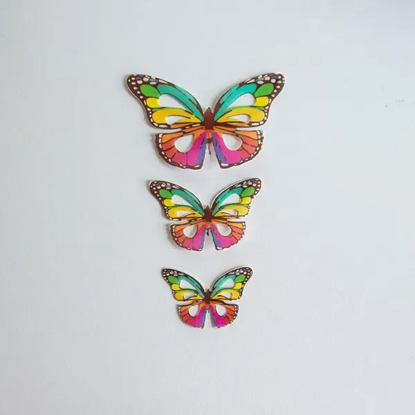 Rainbow - Wafer Paper Butterflies - Image 6