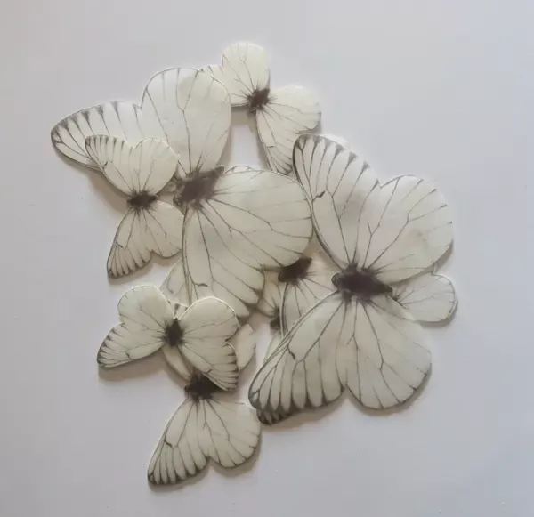 Snow - Wafer Paper Butterflies - Image 5