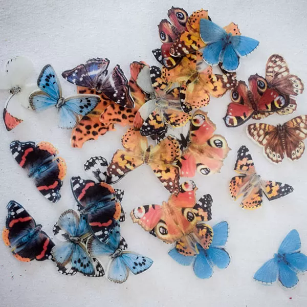 British - Wafer Paper Butterflies - Image 5