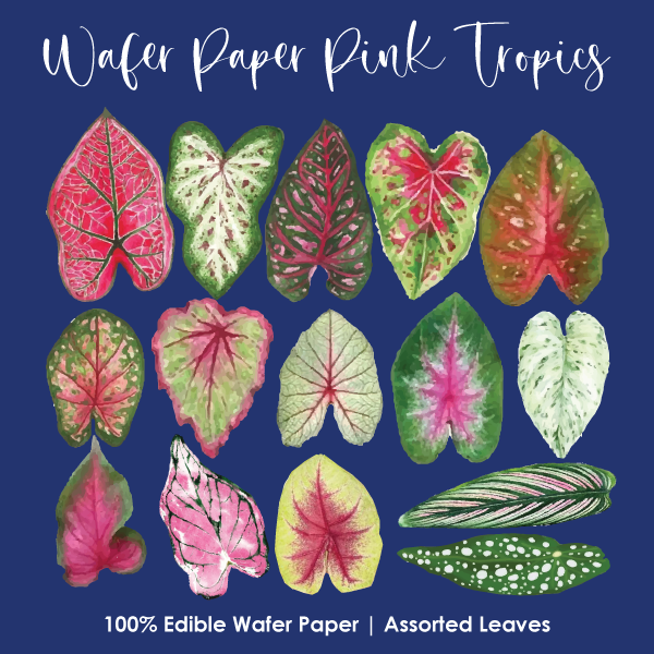 Wafer Paper Pink Tropic Leaves Set