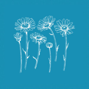 Blooming Daisies - Mini Mesh Stencils