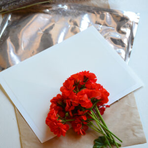 Icing Sheet -1 sheet