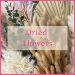 Dried Flowers