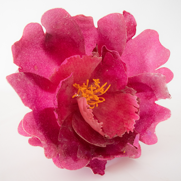 Make-a-Peony - Wafer Paper Flower Kit - Image 8