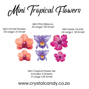 Mini Tropical Flowers
