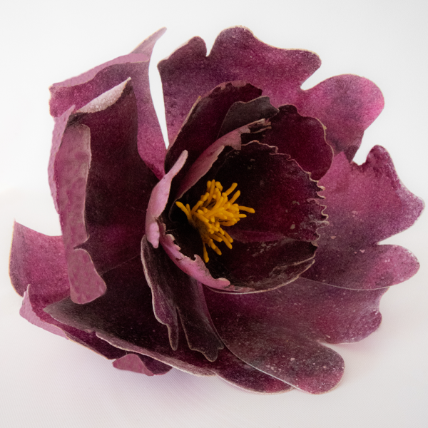 Make-a-Peony - Wafer Paper Flower Kit - Image 6