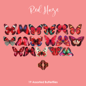 Red Haze Butterflies