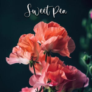 Sweet Pea – Veiner & Cutter