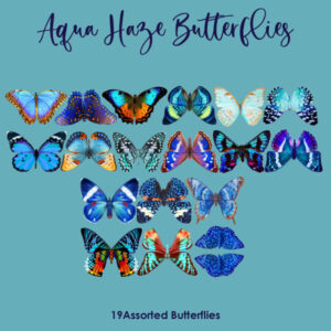 Aqua Haze Butterflies