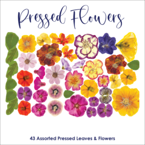 Pressed Flowers