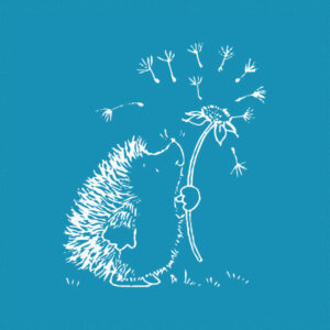 Wishing Hedgehog - Mini Mesh Stencils