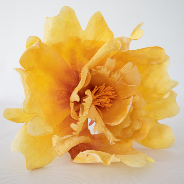 Make-a-Peony - Wafer Paper Flower Kit - Image 4