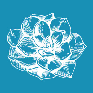 Chevaria - Mesh Stencil
