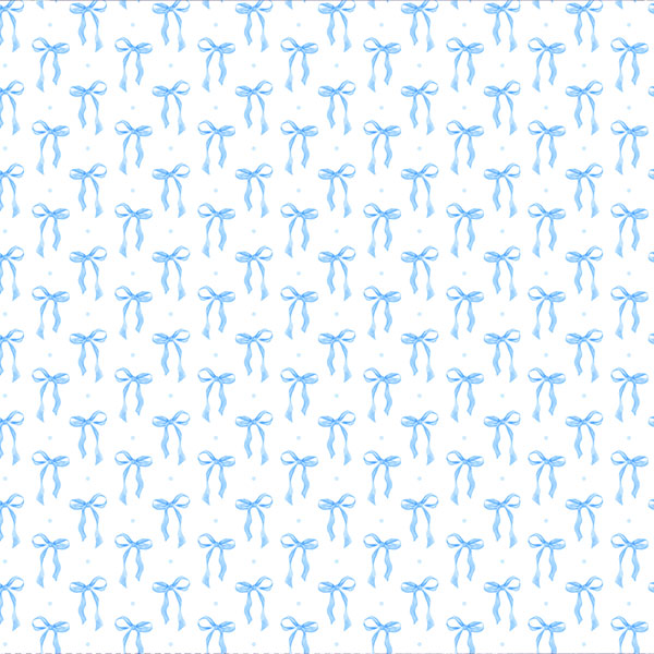 Blue and White Bow-Bunting Set