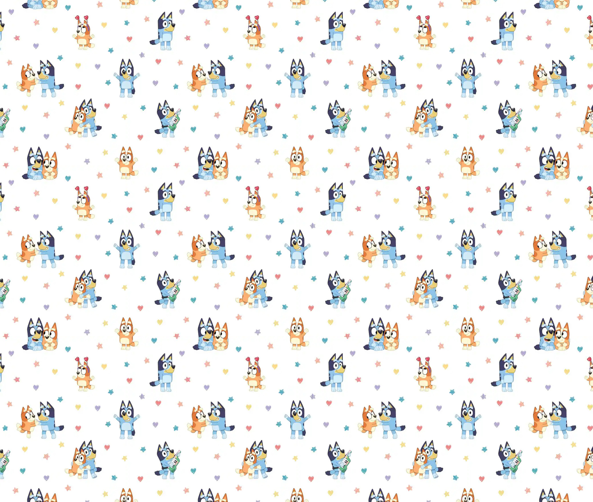 Bluey and Bingo-Bunting Set