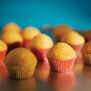 Petinna Muffin Premix